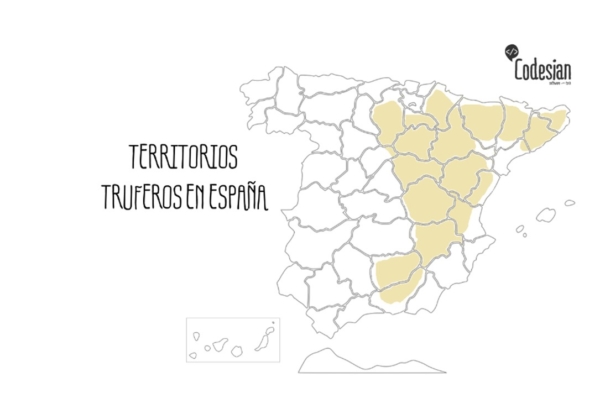 mapa espana plantaciones truferas1